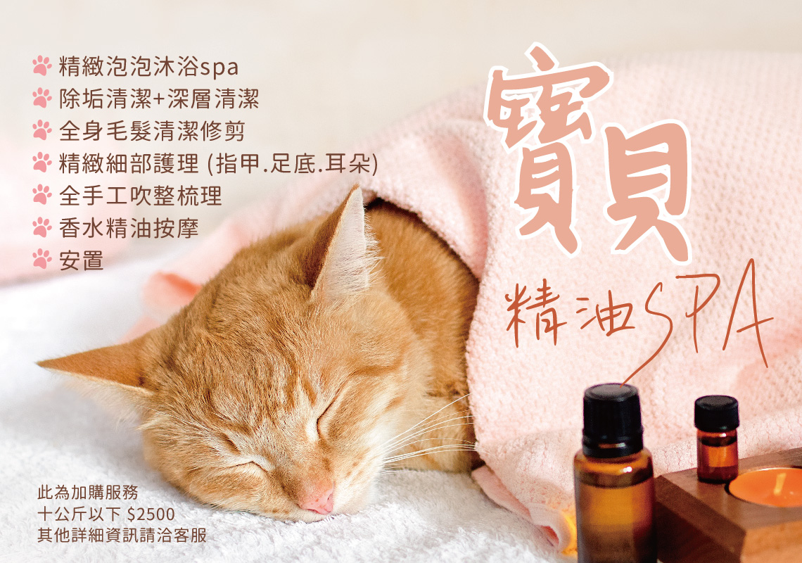 77+ 图片 寵物 新的 45 寵物禮儀專業服務- 邱媽媽生命美學- / 寵物火化/ 寵物骨灰項鍊/ 寵物禮儀/ 寵物安樂/ 寵物3D相片/ -邱媽媽生命美學(服務地區:台北、新北、基隆、桃園、新竹、宜蘭)-custmed pet funeral services by religion and preference